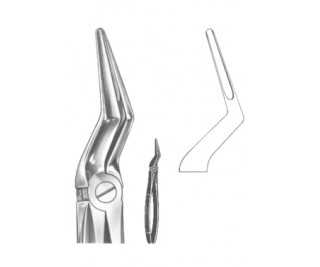 Extracting Forceps English pattern